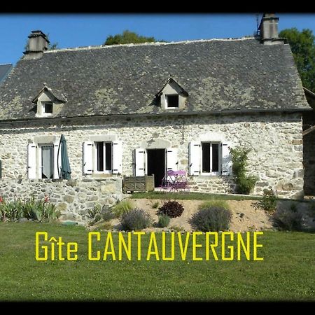 Gite CANTAUVERGNE Villa Vebret Esterno foto