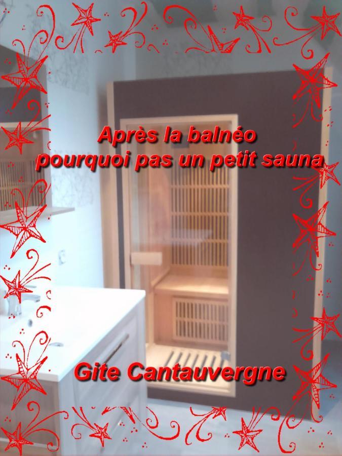 Gite CANTAUVERGNE Villa Vebret Esterno foto