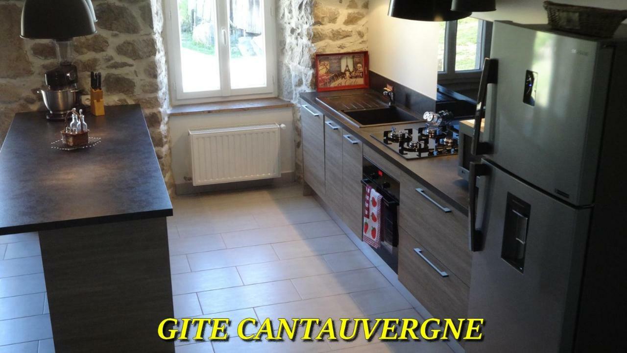 Gite CANTAUVERGNE Villa Vebret Esterno foto