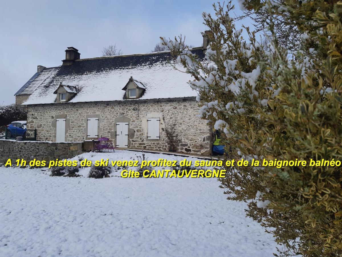 Gite CANTAUVERGNE Villa Vebret Esterno foto